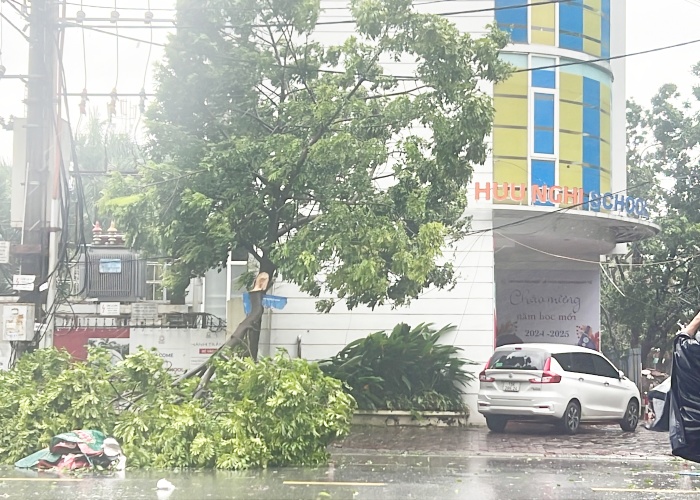 Bão số 3 đã vào Quảng Ninh, Hải Phòng: Xe ô tô bị thổi bay lên dải phân cách- Ảnh 20.