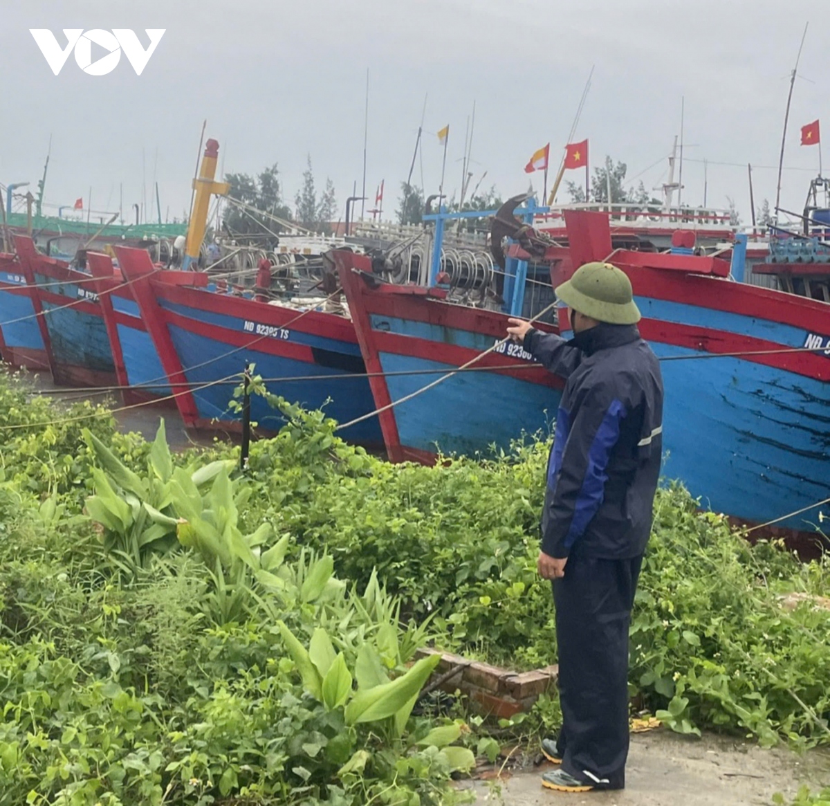 Trực tiếp: Siêu bão Yagi khiến Cô Tô mưa trắng trời, nhiều cây xanh bị quật đổ- Ảnh 24.