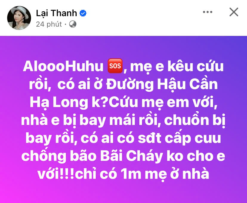 Diễn viên Thanh Bi kêu cứu: Nhà em bay mái rồi- Ảnh 1.