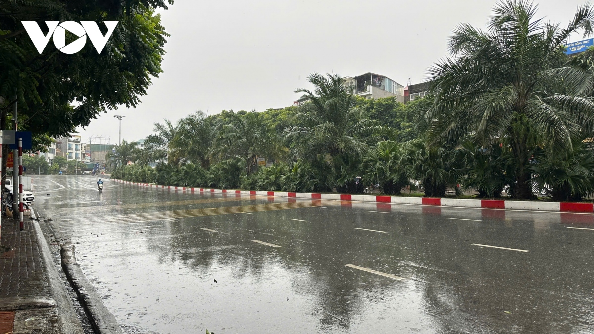 Trực tiếp: Siêu bão Yagi khiến Cô Tô mưa trắng trời, nhiều cây xanh bị quật đổ- Ảnh 23.