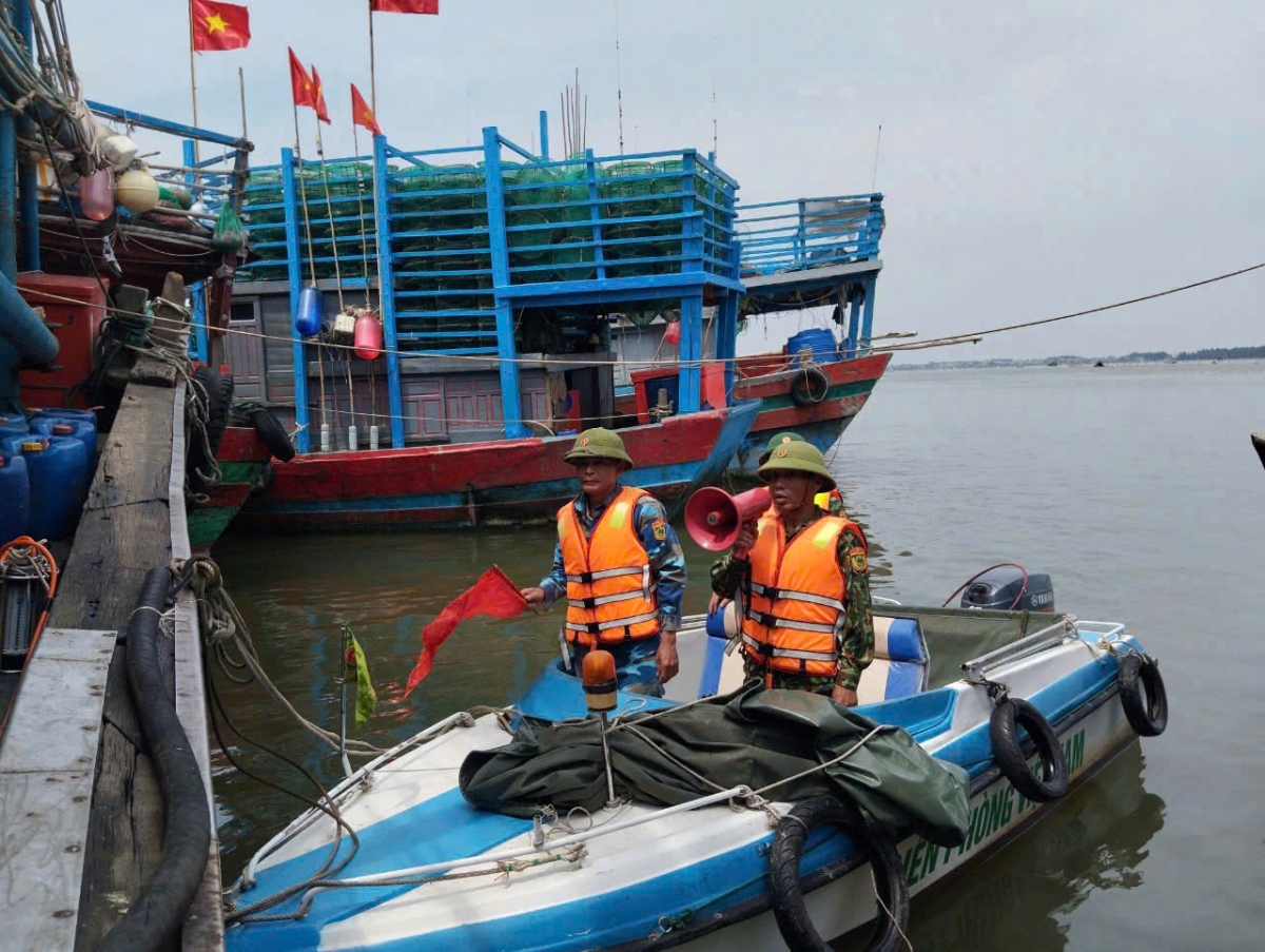 Trực tiếp: Siêu bão Yagi khiến Cô Tô mưa trắng trời, nhiều cây xanh bị quật đổ- Ảnh 29.