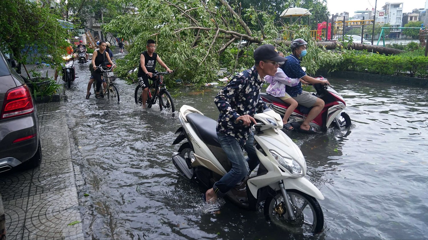 Sau bão, Hải Phòng vẫn ngập sâu, cây xanh đổ la liệt, nhiều nơi mất điện- Ảnh 3.