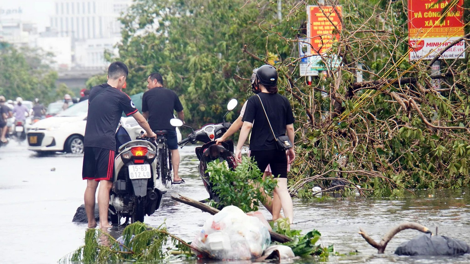 Sau bão, Hải Phòng vẫn ngập sâu, cây xanh đổ la liệt, nhiều nơi mất điện- Ảnh 9.