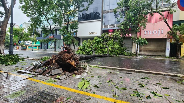 Bão số 3 vượt qua Phú Thọ, Hoà Bình, đi sâu vào Tây Bắc Bộ- Ảnh 60.