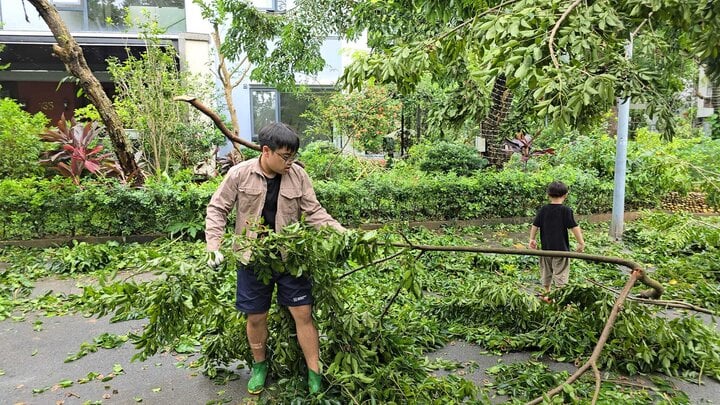 NSND Xuân Bắc cùng 2 con trai hỗ trợ dọn cây đổ trên phố sau bão Yagi- Ảnh 4.