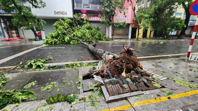 Bão số 3 vượt qua Phú Thọ, Hoà Bình, đi sâu vào Tây Bắc Bộ- Ảnh 59.