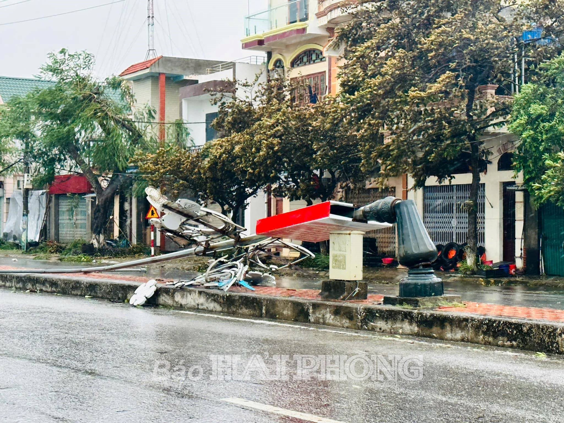 Hải Phòng thiệt hại như thế nào vì bão Yagi?- Ảnh 1.