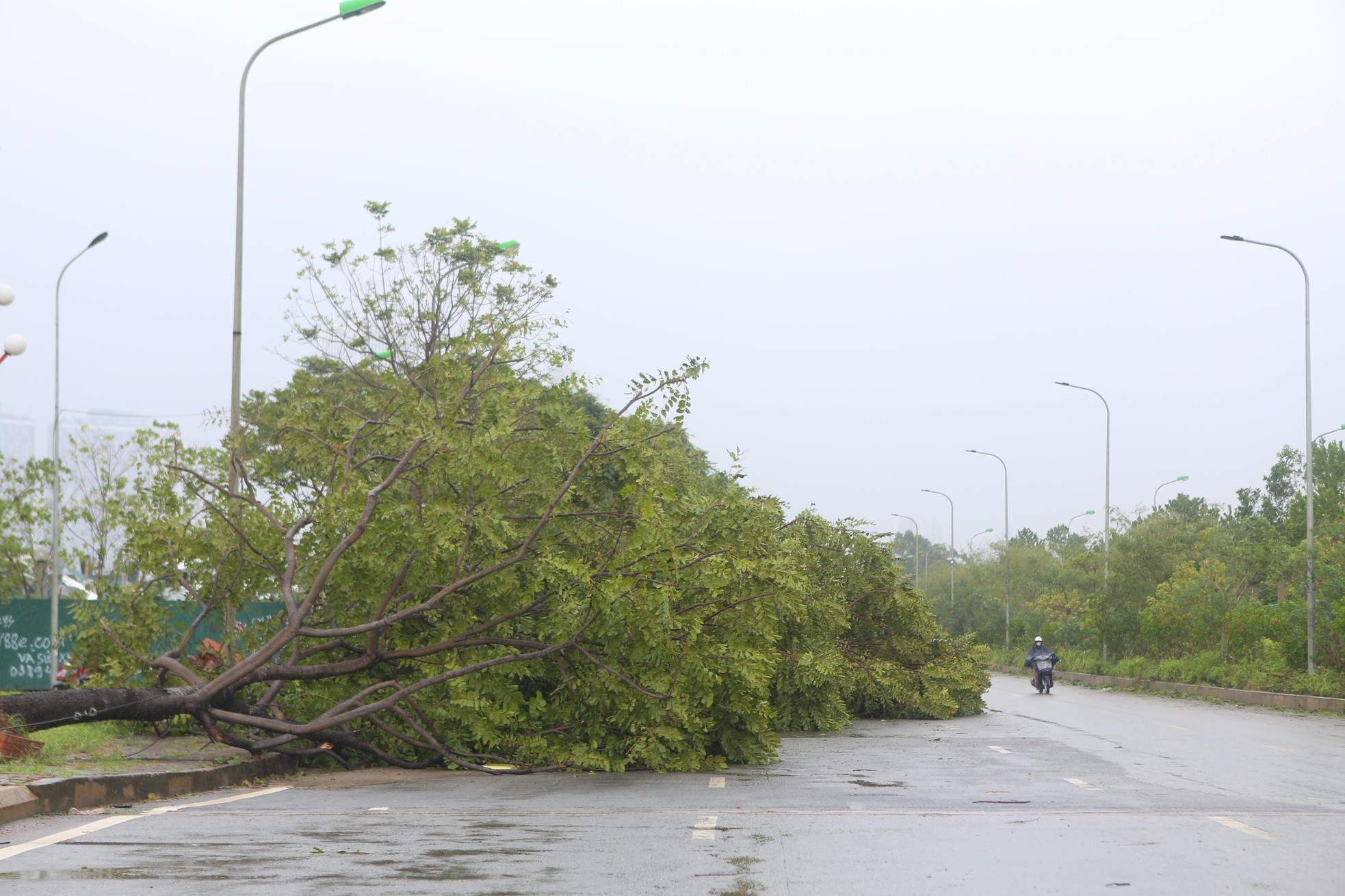 Hà Nội: Đại lộ Thăng Long ngổn ngang sau bão số 3- Ảnh 7.