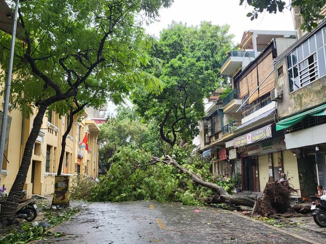 Tiếc nuối những 