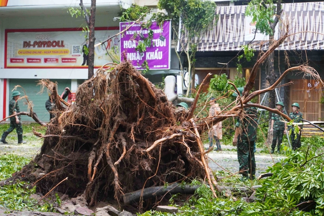 Tiếc nuối những 