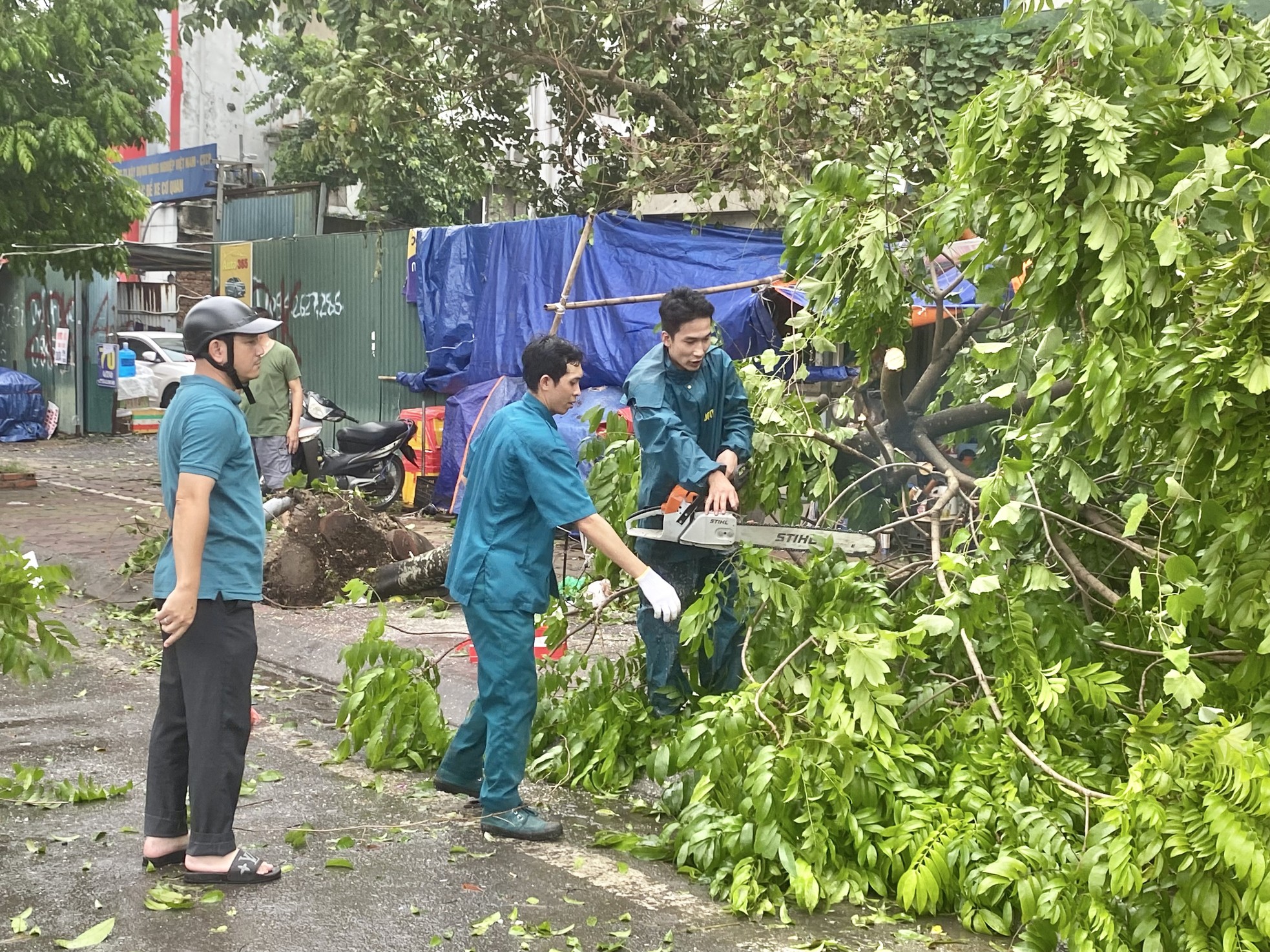 Người dân xuống đường hỗ trợ lực lượng chức năng dọn cây sau bão- Ảnh 1.