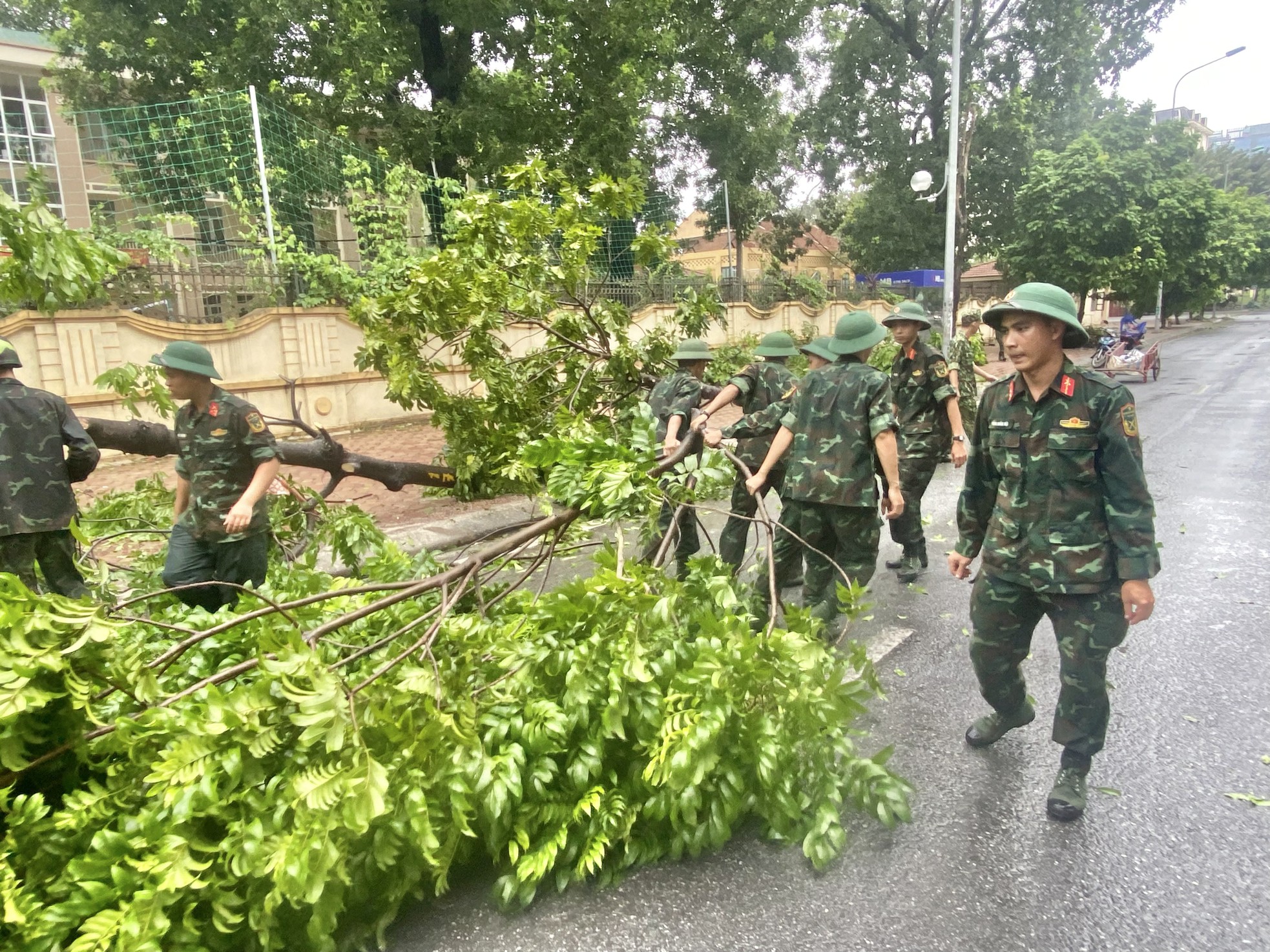 Người dân xuống đường hỗ trợ lực lượng chức năng dọn cây sau bão- Ảnh 3.