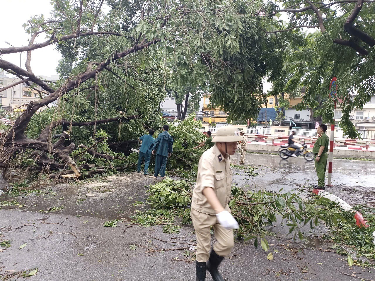 Người dân xuống đường hỗ trợ lực lượng chức năng dọn cây sau bão- Ảnh 2.