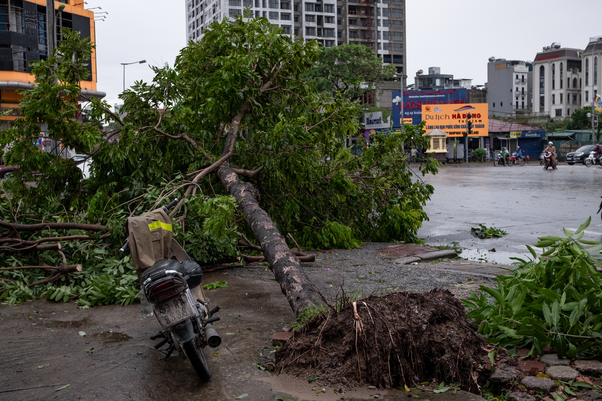 Không thể nhận ra phố phường Hà Nội sau bão Yagi: Giao thông nhiều tuyến tê liệt vì cây gãy đổ, lực lượng cứu hộ vất vả khắc phục hậu quả- Ảnh 24.