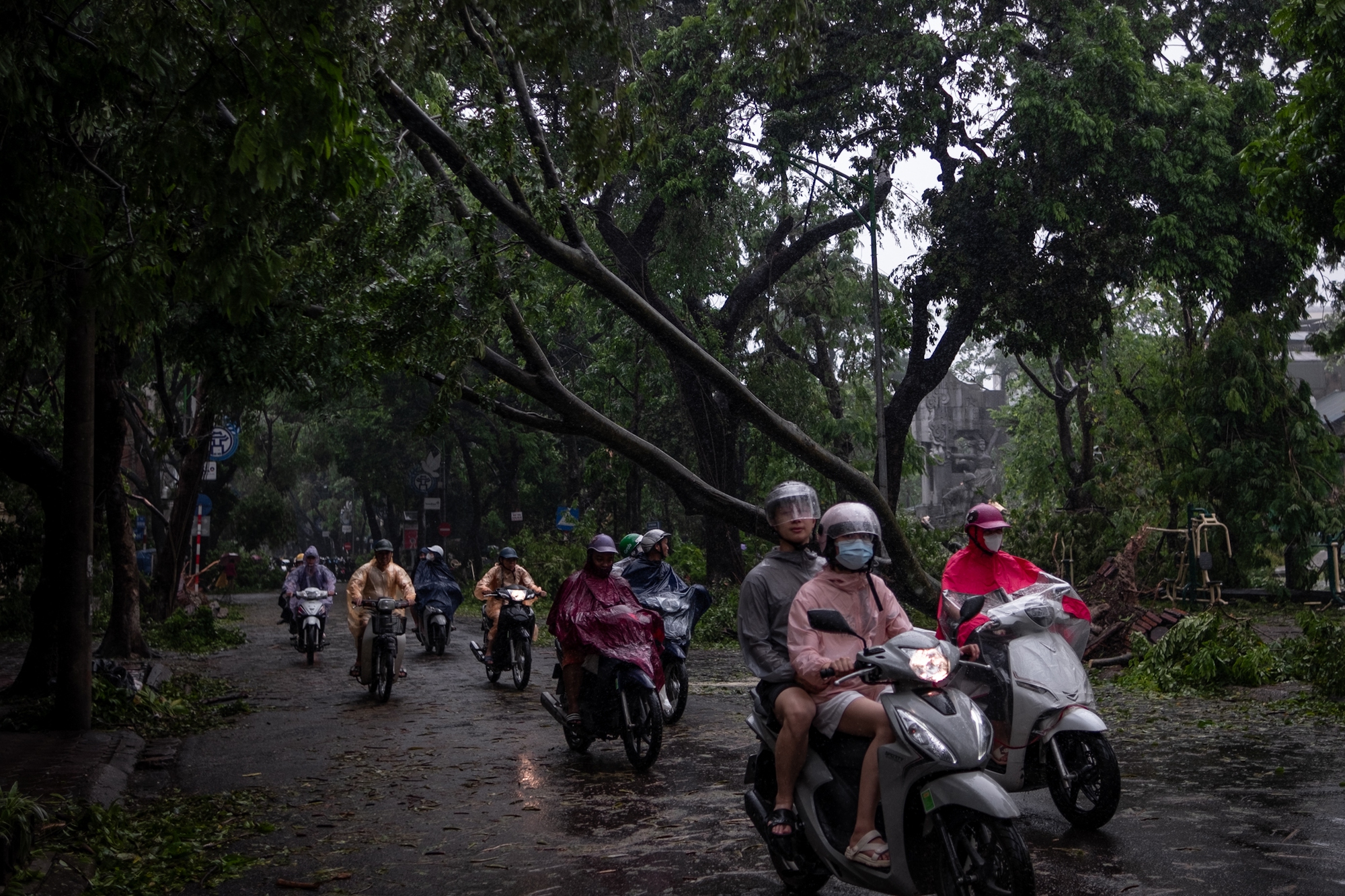 Không thể nhận ra phố phường Hà Nội sau bão Yagi: Giao thông nhiều tuyến tê liệt vì cây gãy đổ, lực lượng cứu hộ vất vả khắc phục hậu quả- Ảnh 14.