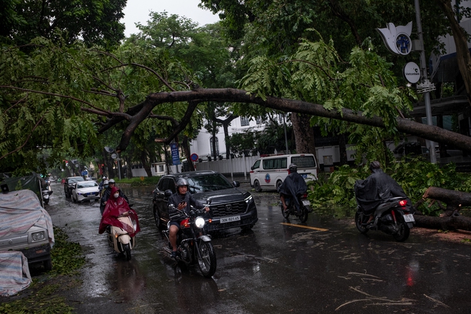 Những giờ phút vất vả ngay khi bão Yagi quét qua: Khẩn trương dọn dẹp, cứu hộ, giải phóng giao thông cho người dân Thủ đô- Ảnh 1.