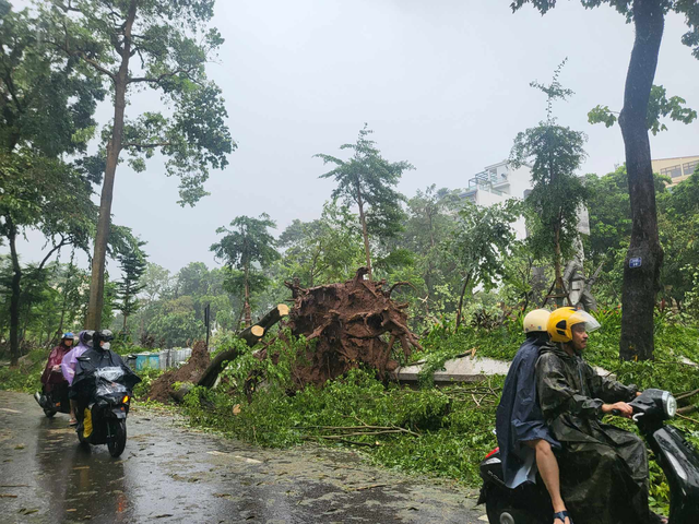 Tiếc nuối những 