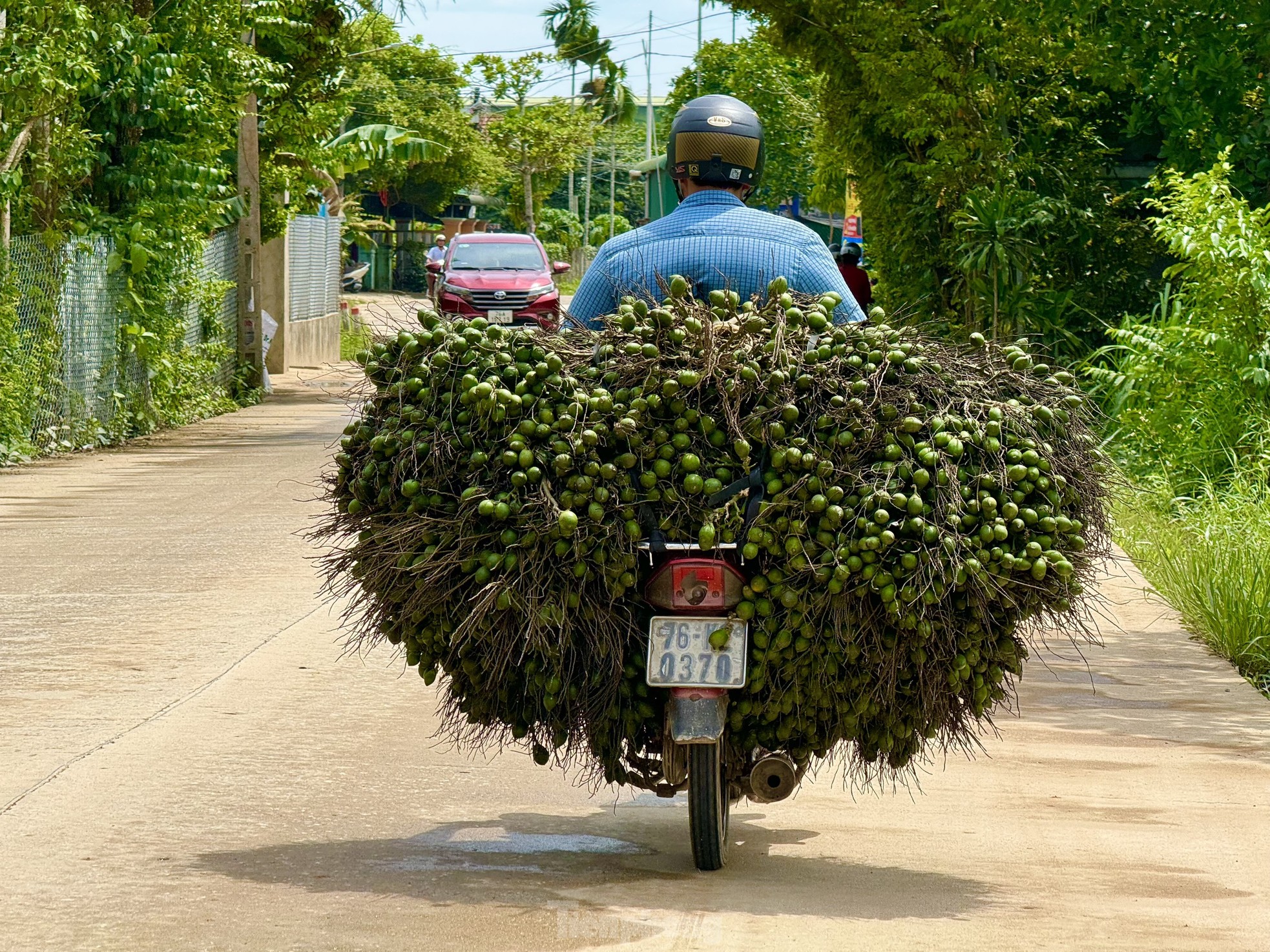 Giá cau tươi tăng mạnh, vì sao nông dân 'đứng ngồi không yên'?- Ảnh 11.