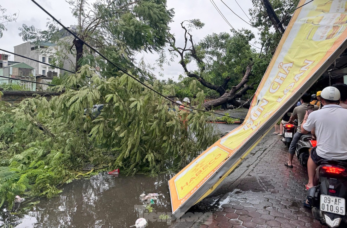 Hà Nội tan hoang sau khi bão số 3 quét qua- Ảnh 3.