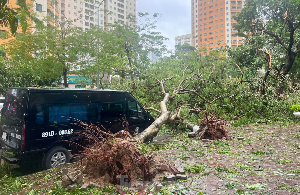 Hà Nội tan hoang sau khi bão số 3 quét qua- Ảnh 8.