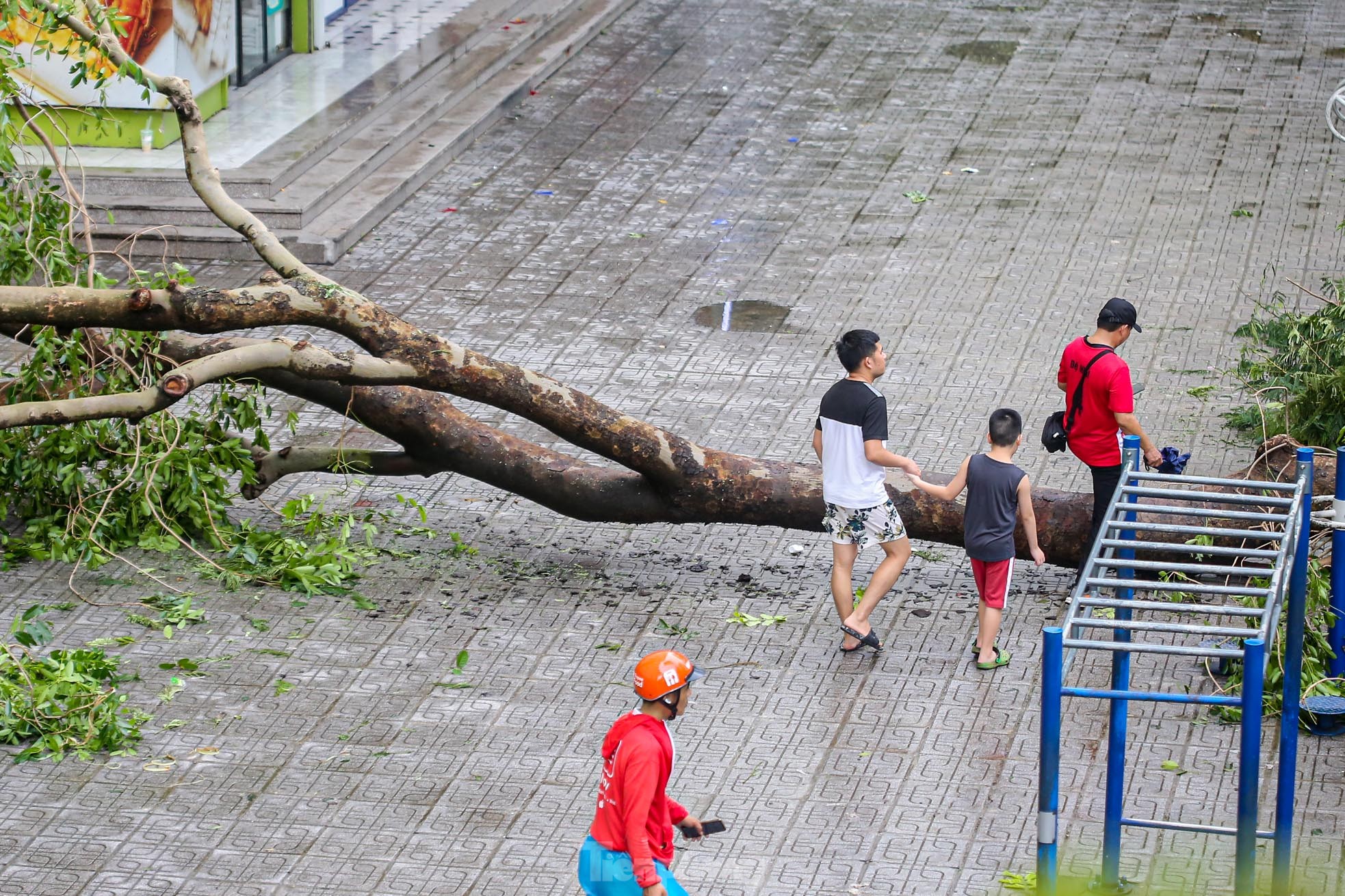 Khu đô thị đông dân nhất Thủ đô tan hoang sau bão Yagi, 'có nhà nhưng không có lối vào'- Ảnh 22.