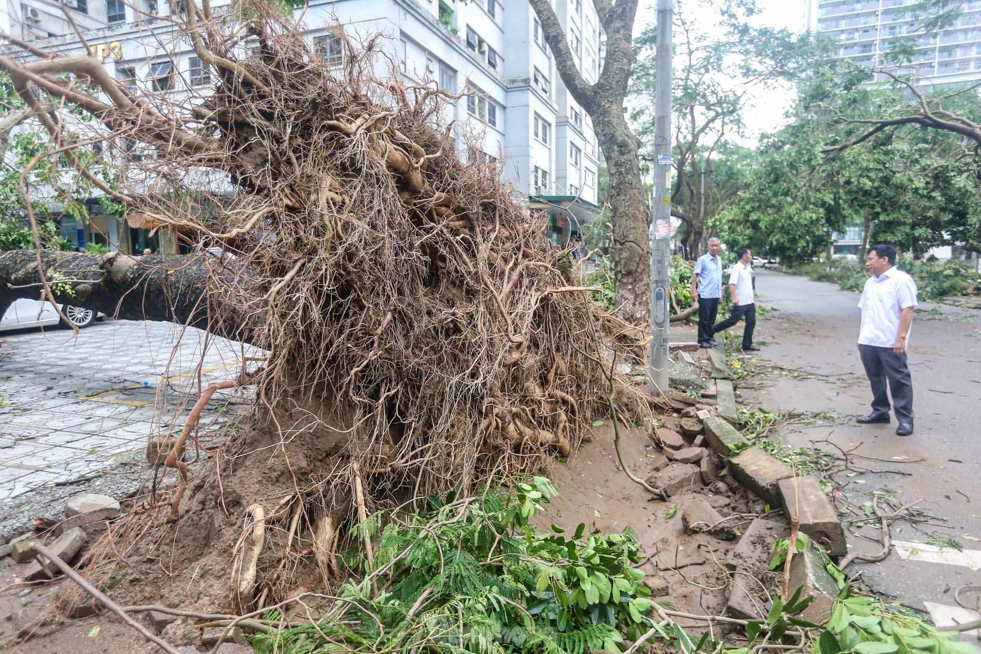 Khu đô thị đông dân nhất Thủ đô tan hoang sau bão Yagi, 'có nhà nhưng không có lối vào'- Ảnh 41.