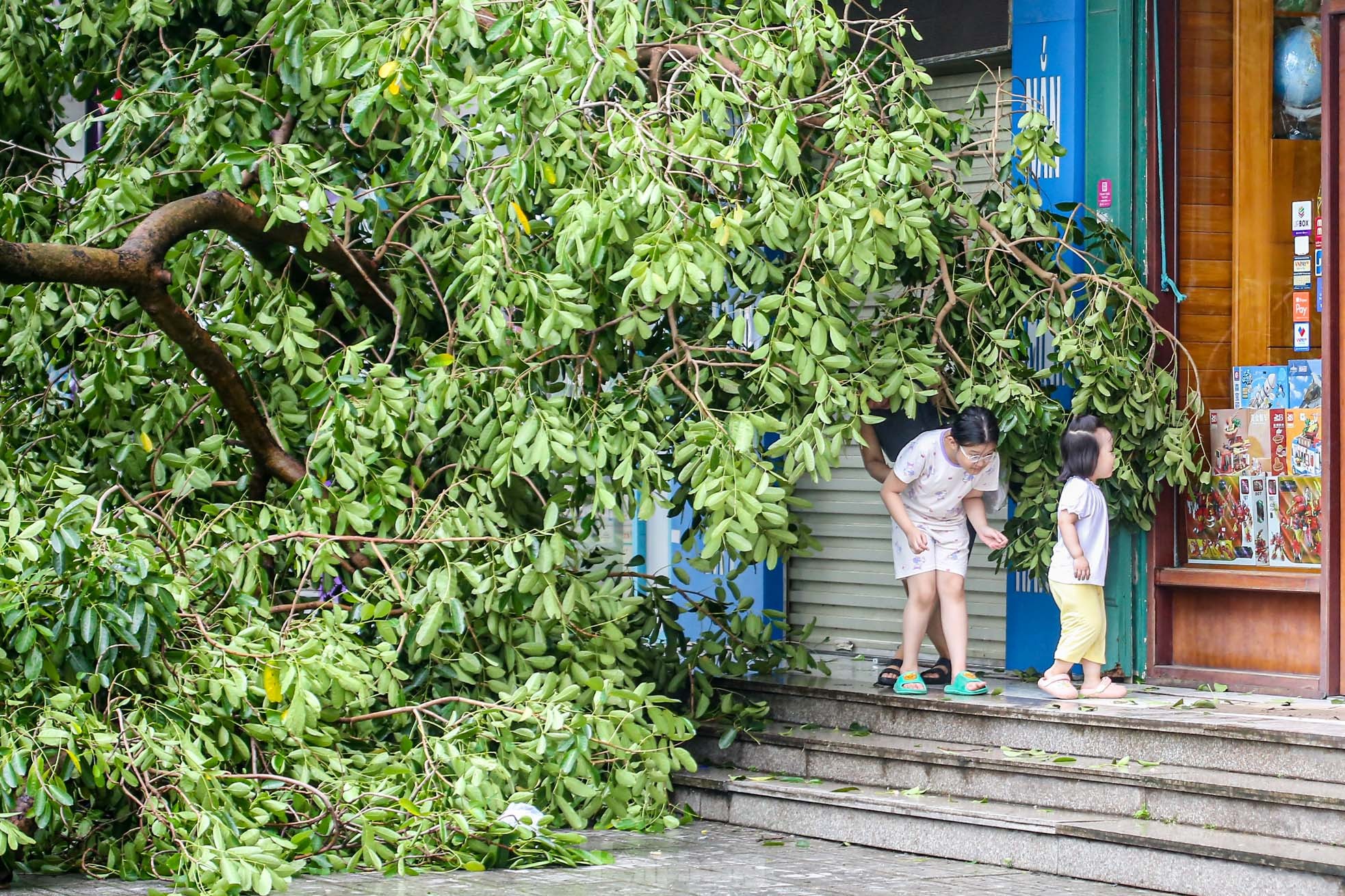 Khu đô thị đông dân nhất Thủ đô tan hoang sau bão Yagi, 'có nhà nhưng không có lối vào'- Ảnh 5.