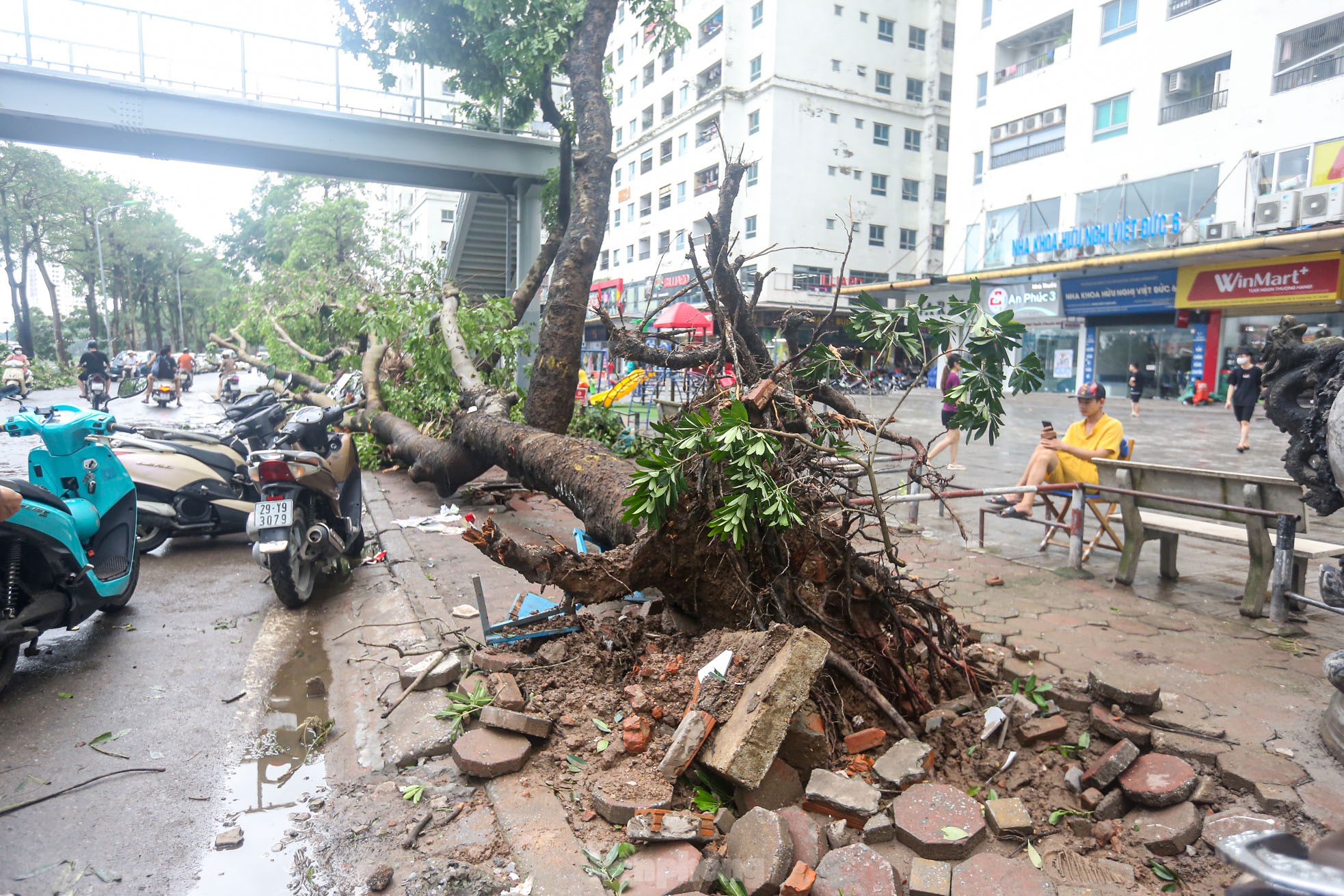 Khu đô thị đông dân nhất Thủ đô tan hoang sau bão Yagi, 'có nhà nhưng không có lối vào'- Ảnh 7.