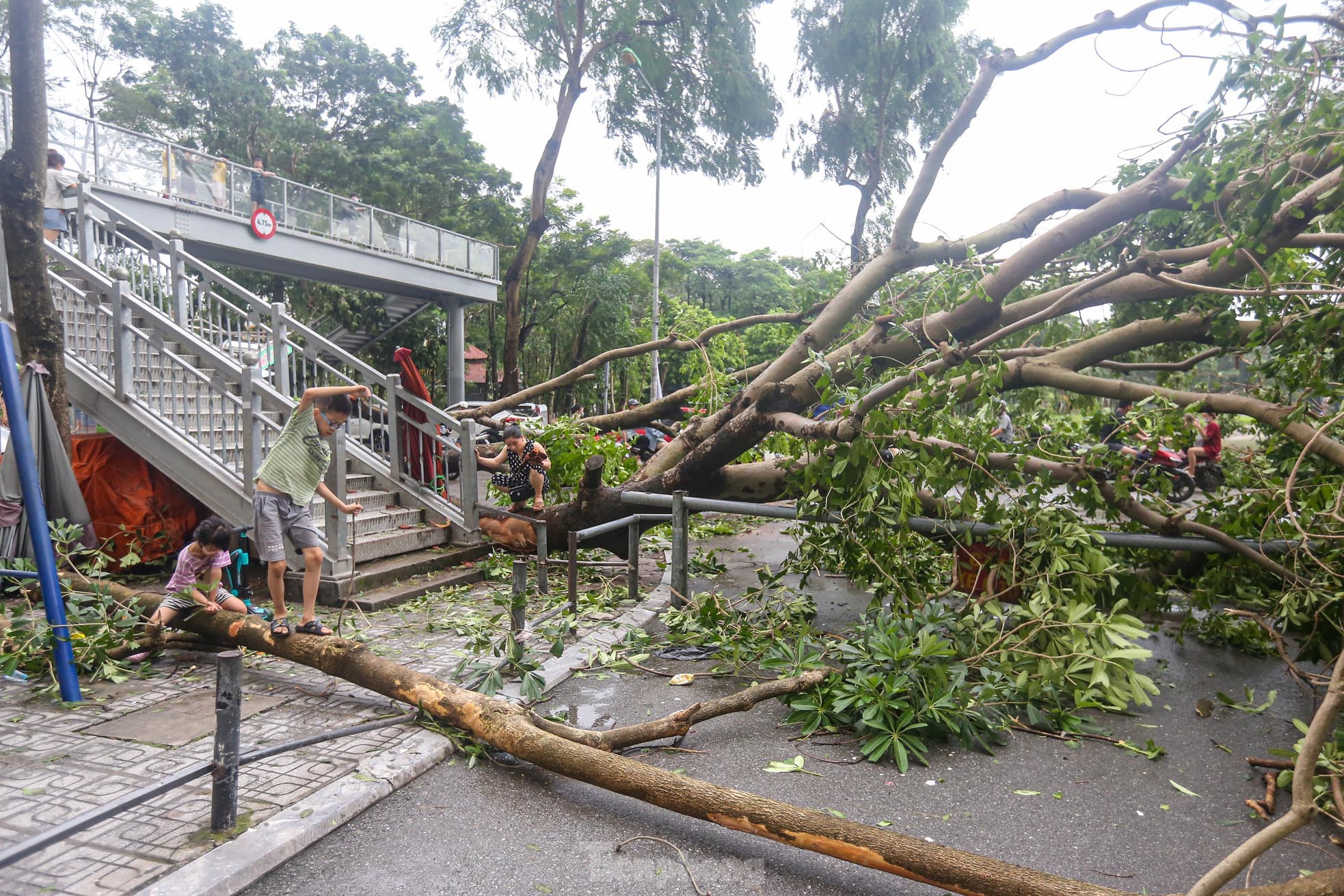 Khu đô thị đông dân nhất Thủ đô tan hoang sau bão Yagi, 'có nhà nhưng không có lối vào'- Ảnh 19.