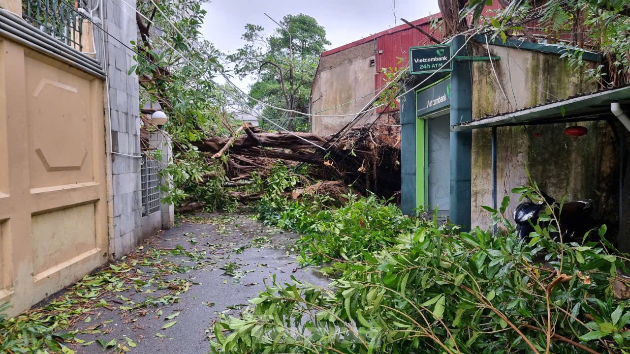 Hà Nội tan hoang sau khi bão số 3 quét qua- Ảnh 5.