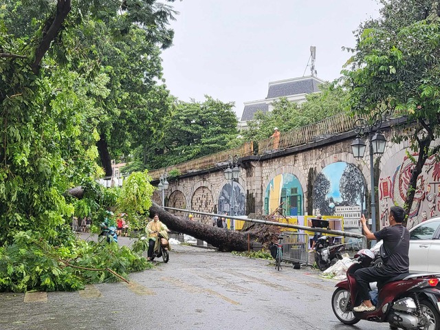 Tiếc nuối những 