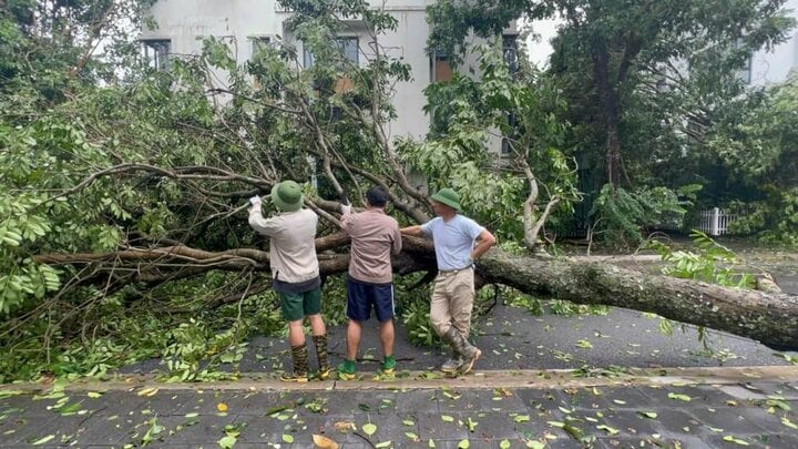 NSND Xuân Bắc cùng 2 con trai hỗ trợ dọn cây đổ trên phố sau bão Yagi- Ảnh 1.