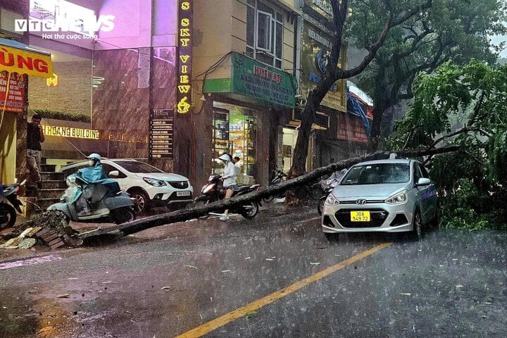 Nhà hàng, ô tô bị bão Yagi phá hủy sẽ được bồi thường thế nào?- Ảnh 1.