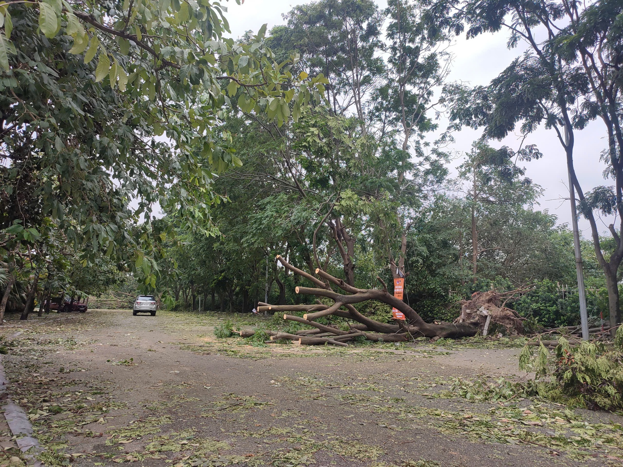 Sân Mỹ Đình tan hoang do bão, cây nằm la liệt dù chỉ còn một ngày nữa đội tuyển Việt Nam đấu Thái Lan- Ảnh 1.