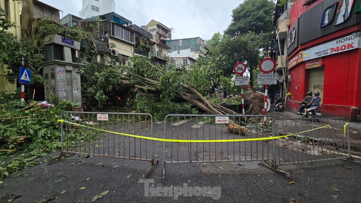 Đường phố Hà Nội vẫn ngổn ngang cây đổ, người dân chật vật tìm đường tới công sở- Ảnh 1.