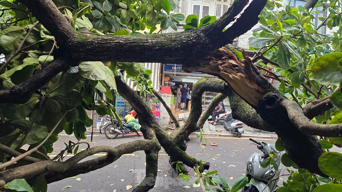Đường phố Hà Nội vẫn ngổn ngang cây đổ, người dân chật vật tìm đường tới công sở- Ảnh 2.
