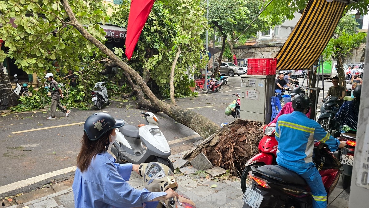 Đường phố Hà Nội vẫn ngổn ngang cây đổ, người dân chật vật tìm đường tới công sở- Ảnh 3.