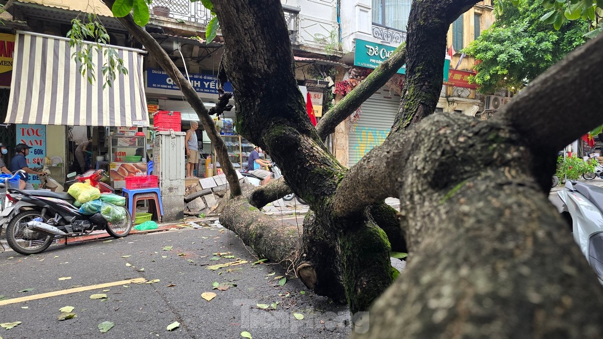 Đường phố Hà Nội vẫn ngổn ngang cây đổ, người dân chật vật tìm đường tới công sở- Ảnh 4.