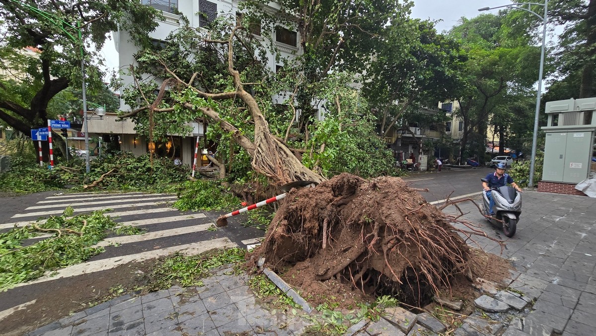 Đường phố Hà Nội vẫn ngổn ngang cây đổ, người dân chật vật tìm đường tới công sở- Ảnh 5.