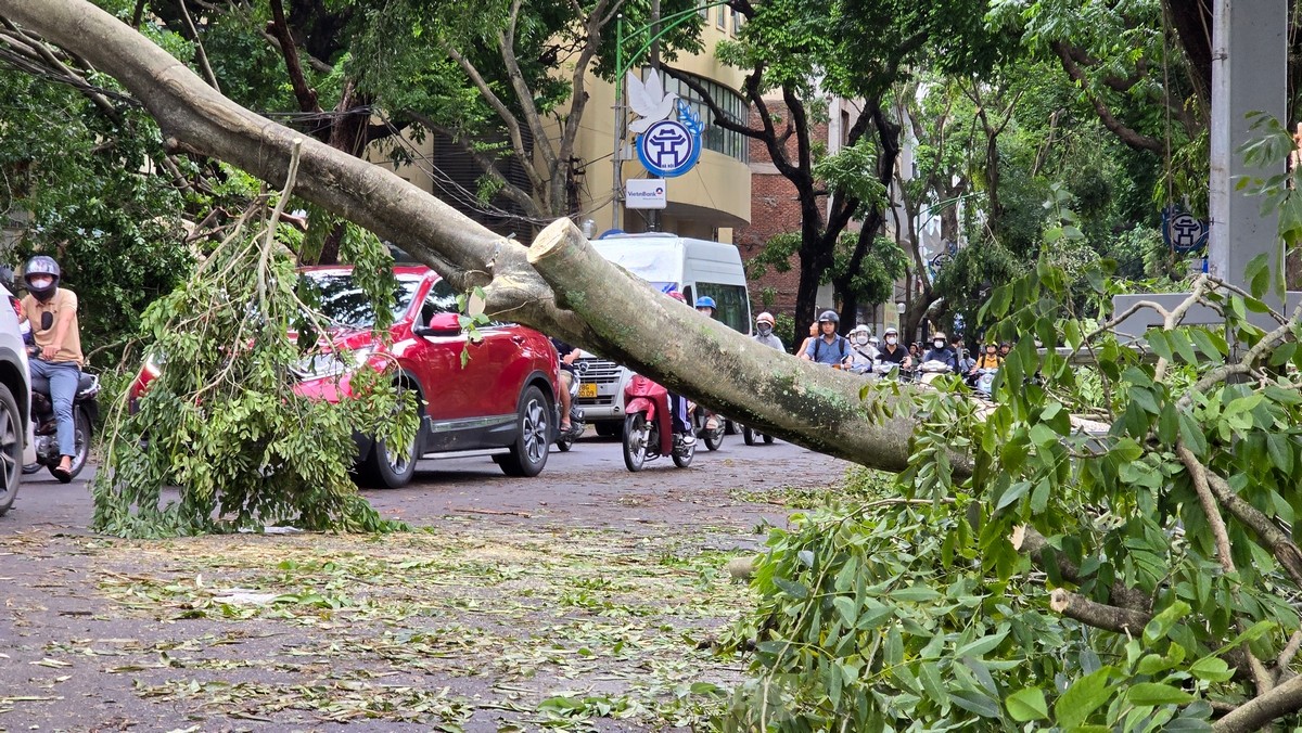 Đường phố Hà Nội vẫn ngổn ngang cây đổ, người dân chật vật tìm đường tới công sở- Ảnh 7.