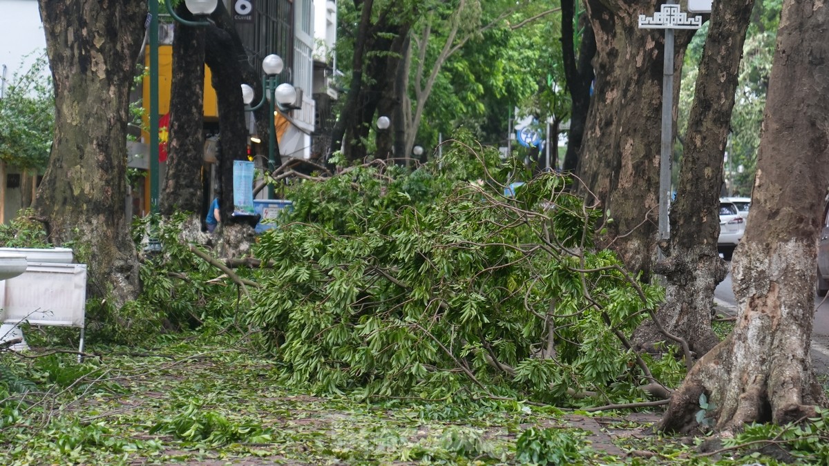 Đường phố Hà Nội vẫn ngổn ngang cây đổ, người dân chật vật tìm đường tới công sở- Ảnh 8.