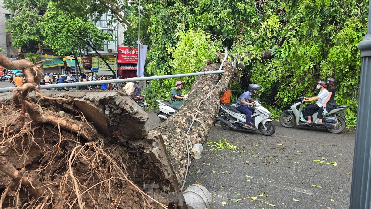 Đường phố Hà Nội vẫn ngổn ngang cây đổ, người dân chật vật tìm đường tới công sở- Ảnh 10.