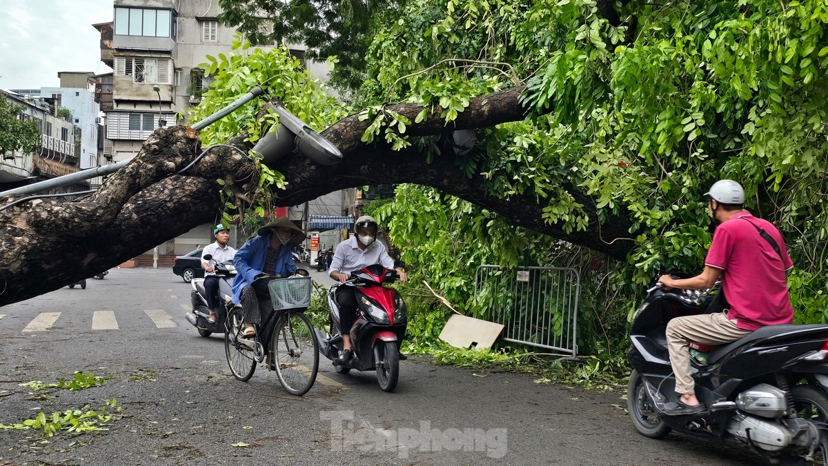 Đường phố Hà Nội vẫn ngổn ngang cây đổ, người dân chật vật tìm đường tới công sở- Ảnh 11.