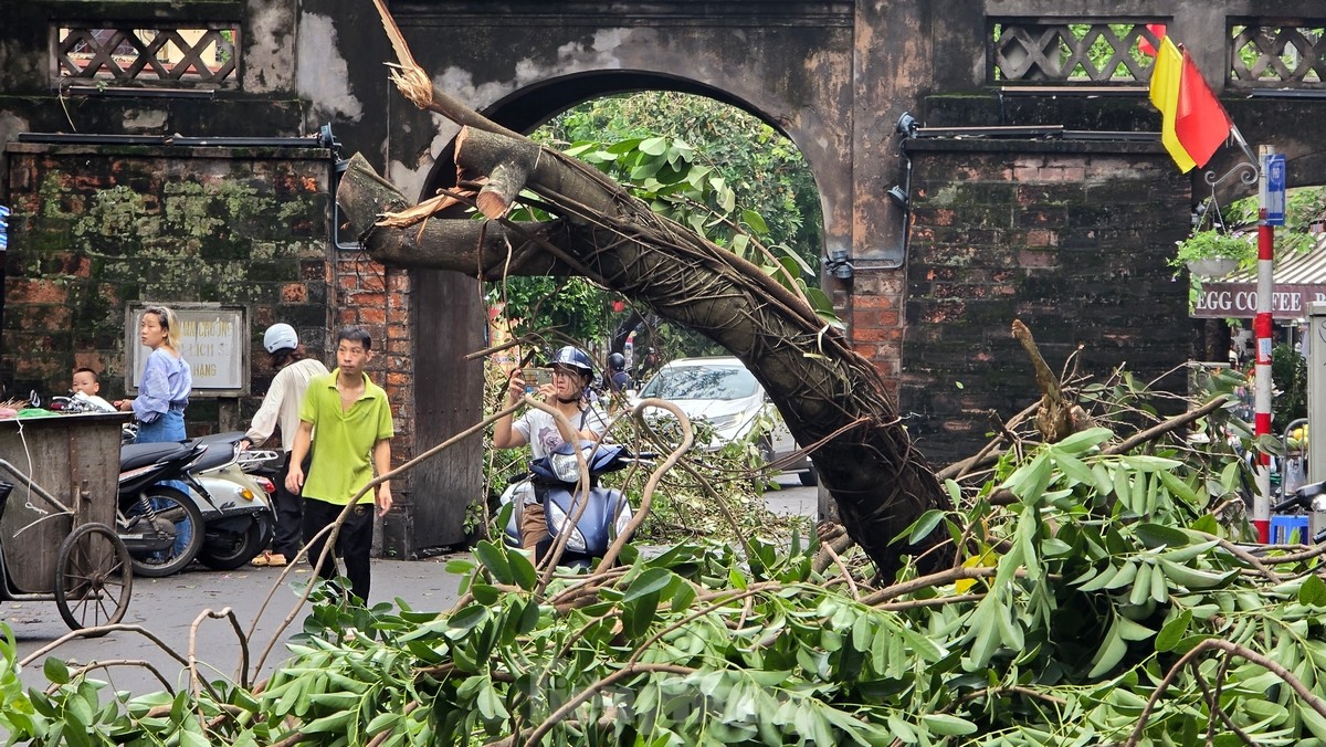 Đường phố Hà Nội vẫn ngổn ngang cây đổ, người dân chật vật tìm đường tới công sở- Ảnh 13.