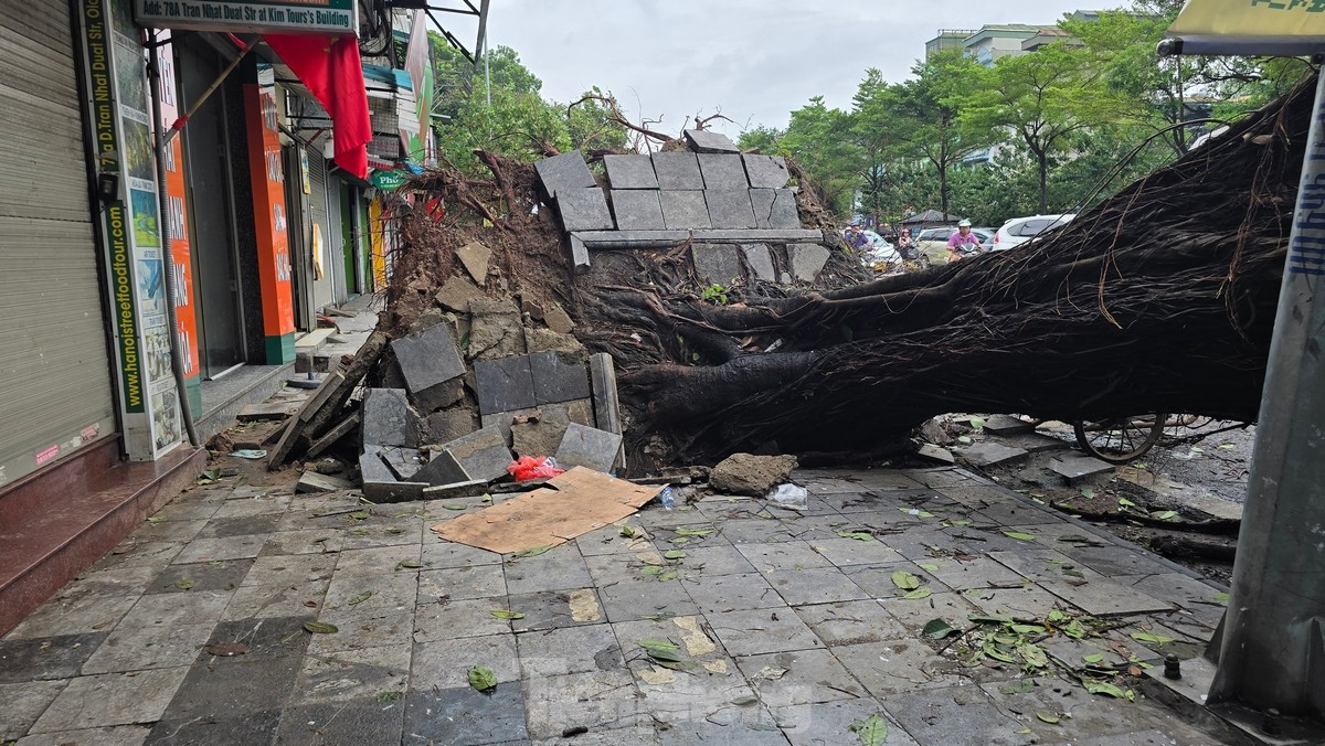 Đường phố Hà Nội vẫn ngổn ngang cây đổ, người dân chật vật tìm đường tới công sở- Ảnh 15.