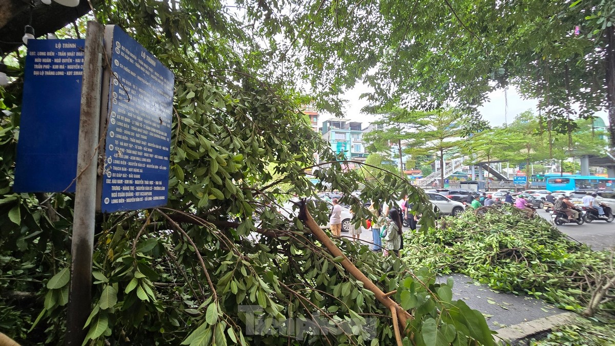 Đường phố Hà Nội vẫn ngổn ngang cây đổ, người dân chật vật tìm đường tới công sở- Ảnh 16.