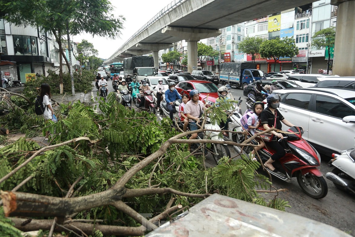 Đường phố Hà Nội vẫn ngổn ngang cây đổ, người dân 'vượt ải' ùn tắc đến công sở- Ảnh 9.