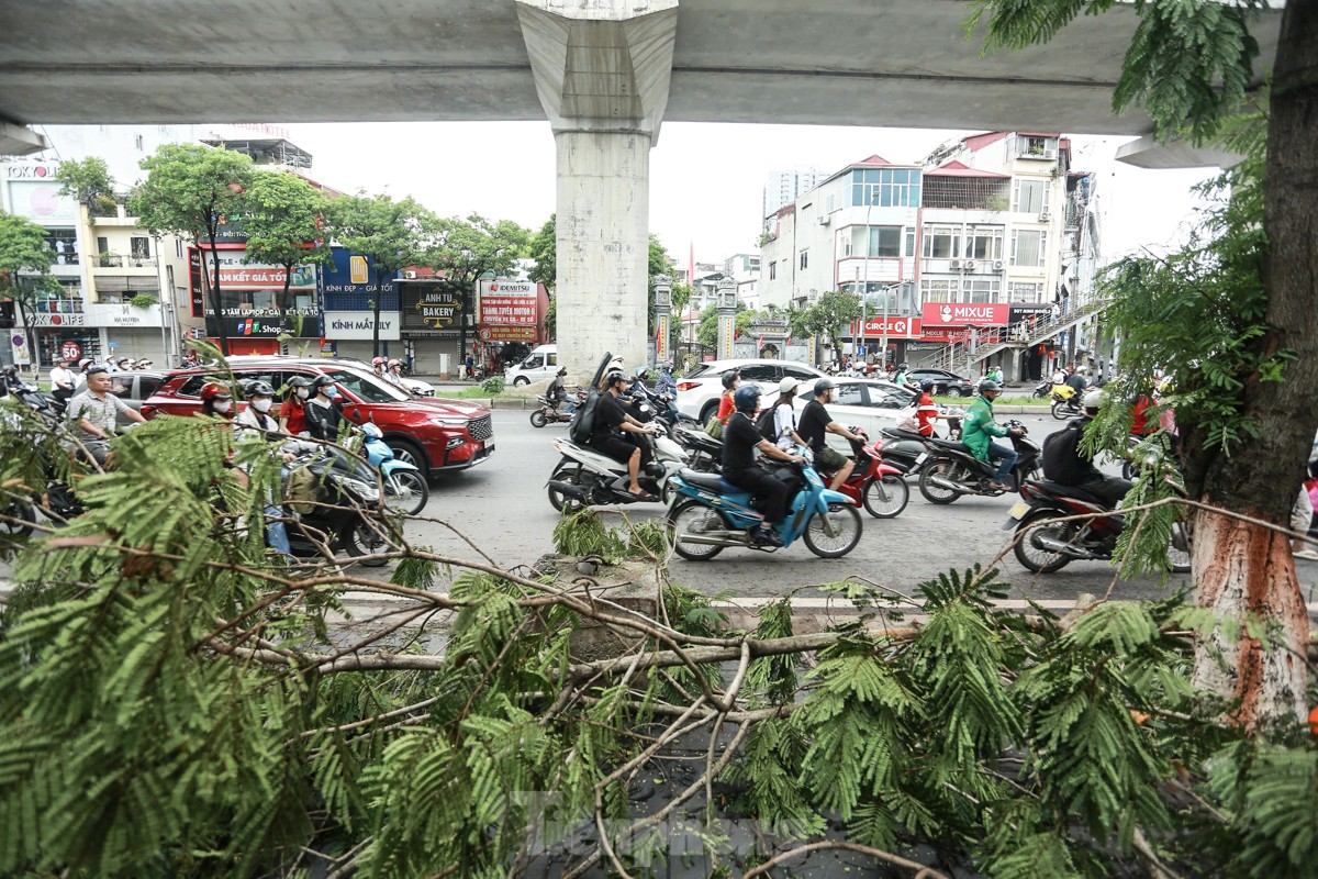 Đường phố Hà Nội vẫn ngổn ngang cây đổ, người dân 'vượt ải' ùn tắc đến công sở- Ảnh 1.