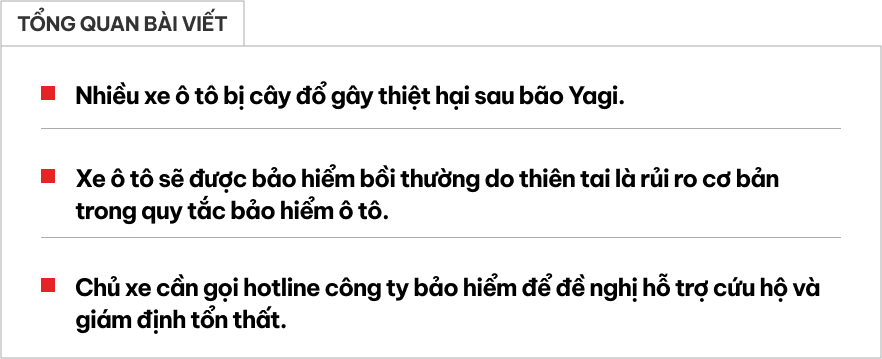 Chuyên gia bảo hiểm: 'Ô tô bị cây đổ sau bão được bồi thường tối đa 100% giá trị nhưng chủ xe cần lưu ý điều này'- Ảnh 1.