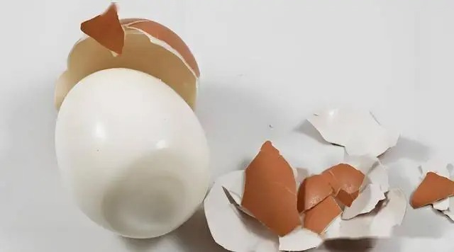 Chuyện thật như đùa: Năm 2025 rồi, vẫn có nhiều người KHÔNG BIẾT luộc trứng- Ảnh 4. Chuyện thật như đùa: Năm 2025 rồi, vẫn có nhiều người KHÔNG BIẾT luộc trứng- Ảnh 4.